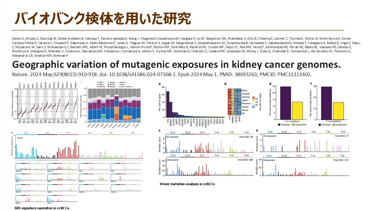 研究成果_がん研究センター_2025_1